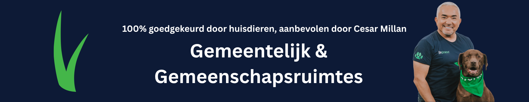 Gemeentelijk & Gemeenschapsruimtes