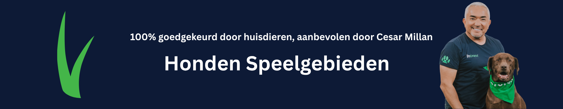 Kunstgras honden speelgebied