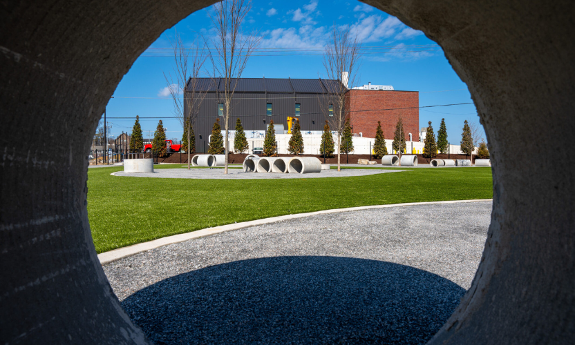 Kunstgras voor hondenparken